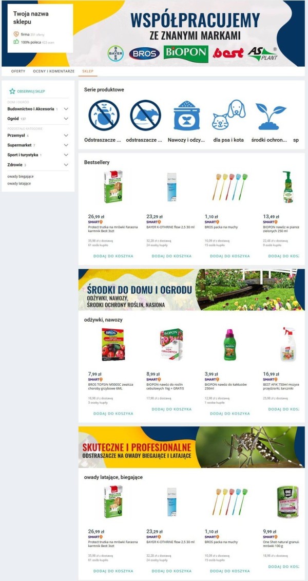 Przykładowy szablon konta firmowego Allegro. Źródło: Allegro.pl